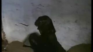مال غنیمت سامیہ Duar ...
