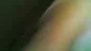 بیڈ اور صوفے پر پرجو ...