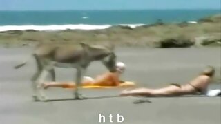 دلکش سنہرے بالوں وال ...